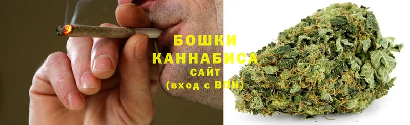 shop состав  Каменногорск  МАРИХУАНА Amnesia  наркошоп 